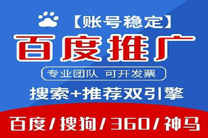 某企业SEM广告投放的ROI提升策略及效果展示